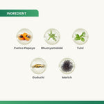 Charak Plat-C Tablets - High-Potency Carica Papaya Leaf Extract for Platelet Support