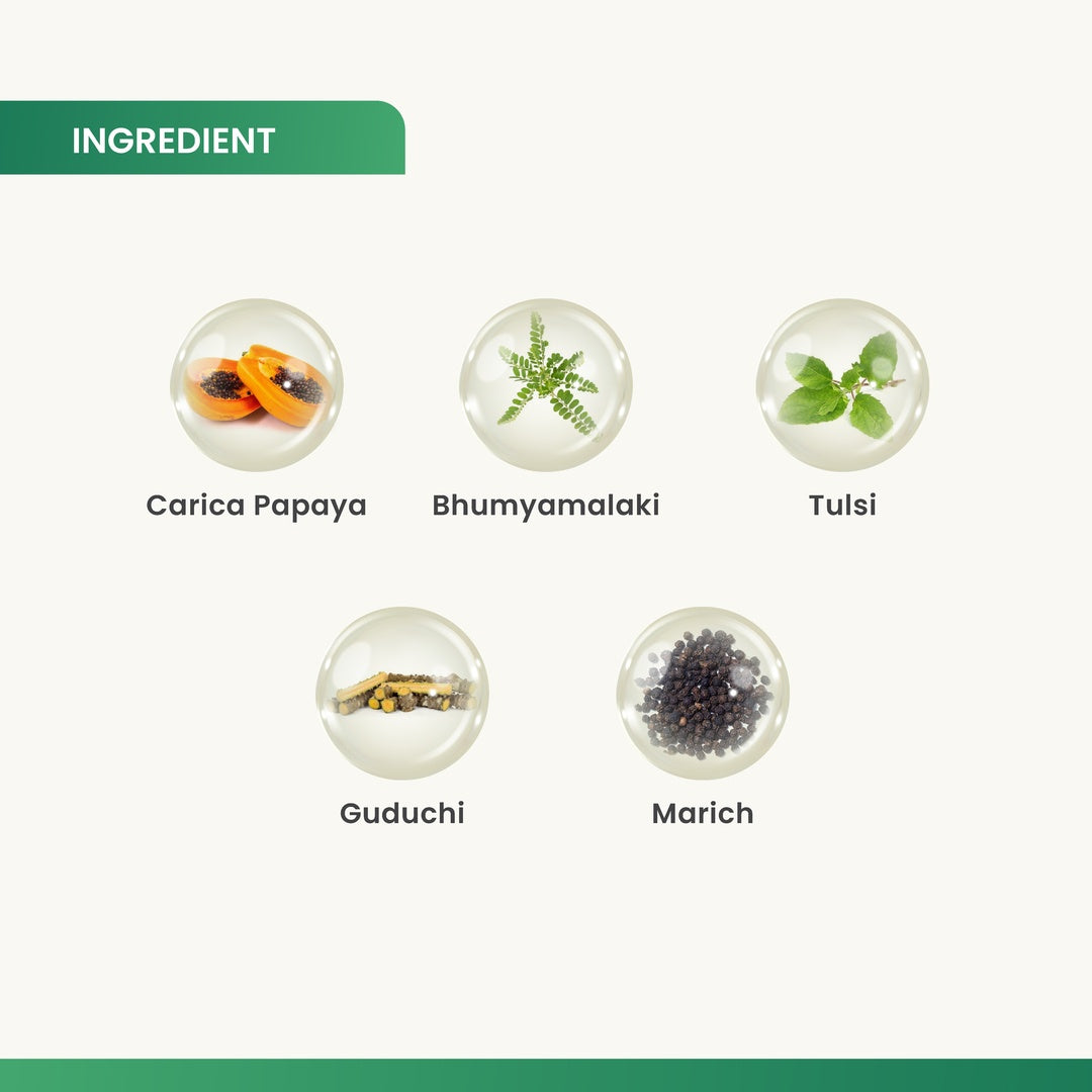 Charak Plat-C Tablets - High-Potency Carica Papaya Leaf Extract for Platelet Support