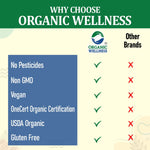 Organic Wellness Tulsi Green Tea Classic Teabags - 25 Teabags