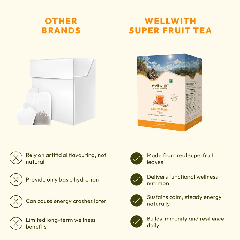 WellWith Sea Buckthorn Super Fruit Tea (20 Infusion Tea Bags, 2g Each)
