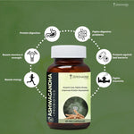 ZEROHARM Ashwagandha + Probiotics for Stress, Anxiety Relief, Nutrient Absorption and Digestive Health for Men & Women - 60 Capsules