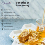 Arogyasiddhi Raw Honey | 100% Pure, Unfiltered & Organic Multi-Flora Honey | 500 g