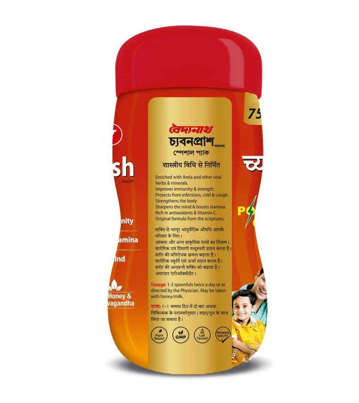 Baidyanath Chyawanprash Special Pack Immunity Booster | For Strength & Stamina - 1 KG+200 GM Extra
