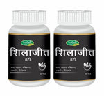 Pack of 2 Shilajit Vati 60 Tab for Energy, & Vitality Support.