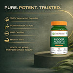 Pure Nutrition Fadogia Agrestis 60 Capsules | Herbal Supplement for Men’s Health & Vitality Support