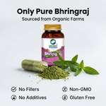 Organic Wellness Bhringraj Capsules -  90 Vegetarian Capsules