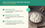 Kelifta by Feelgood Kefir®- Live Premium Large Sized Milk Kefir Grains (20g) | 95+ Live Active Strains | Includes Strainer & Spoon | Reusable & Multiplying | Kefir Probiotic