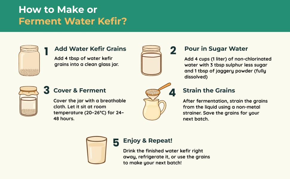 Kelifta by Feelgood Kefir® - Live Large Sized Water Kefir Grains (50g) | IIncludes Strainer & Spoon | Lifetime Support | Kefir Probiotic