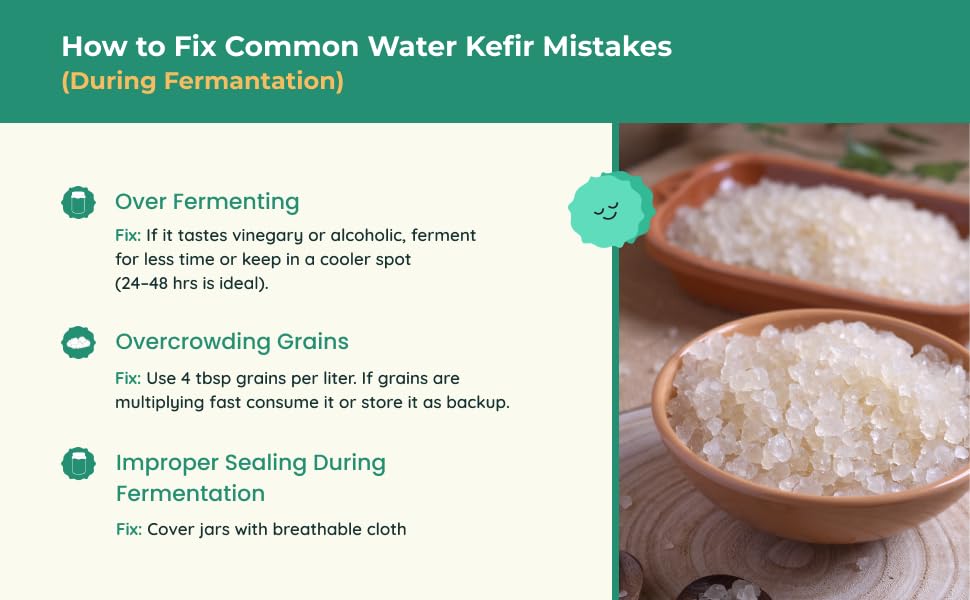 Kelifta by Feelgood Kefir® - Live Large Sized Water Kefir Grains (50g) | IIncludes Strainer & Spoon | Lifetime Support | Kefir Probiotic