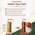 Pure Nutrition Natural Henna Powder 200g | Herbal Hair Color & Scalp Care | Natural Hair Care