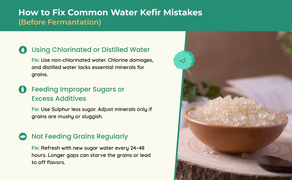Kelifta by Feelgood Kefir® - Live Large Sized Water Kefir Grains (50g) | IIncludes Strainer & Spoon | Lifetime Support | Kefir Probiotic