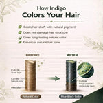 Pure Nutrition Organic Indigo Powder 200g | Natural Hair Color Powder | Herbal Hair Care