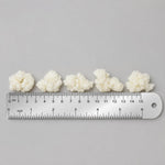 Kelifta by Feelgood Kefir® - Live Premium Hand-Picked Extra large Sized Milk Kefir Grains (10g) | 95+ Live Active Strains | Includes Strainer & Spoon | Reusable & Multiplying | Kefir Probiotic