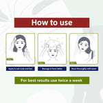 Sri Sri Tattva Henna Shikakai Shampoo - Pack of 2