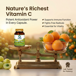 Organic Wellness Amla Capsules - Vitamin C - Antioxidant - 90 Veg Capsules