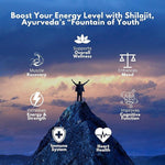 Vedapure Shudha Shilajit Resin - Pure Himalayan Lab-Tested Vitality Extract (20g)