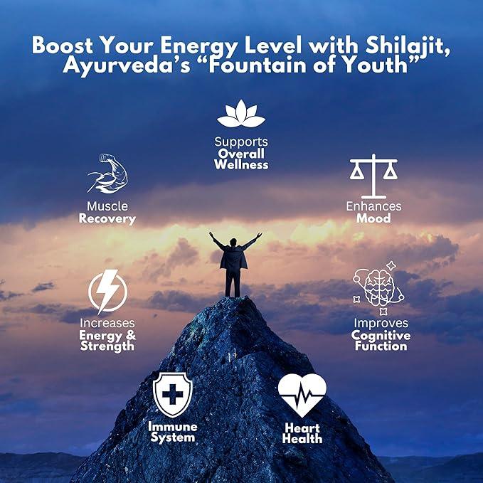 Vedapure Shudha Shilajit Resin - Pure Himalayan Lab-Tested Vitality Extract (20g)