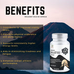 Zenius Shilajeet Gold Capsules