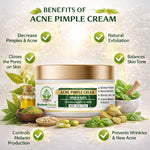 Bhudevam Naturals Khadi Acne Pimple Cream for Fast Acting Spot Treatment for Pimples, Acne & Breakouts- 50GM