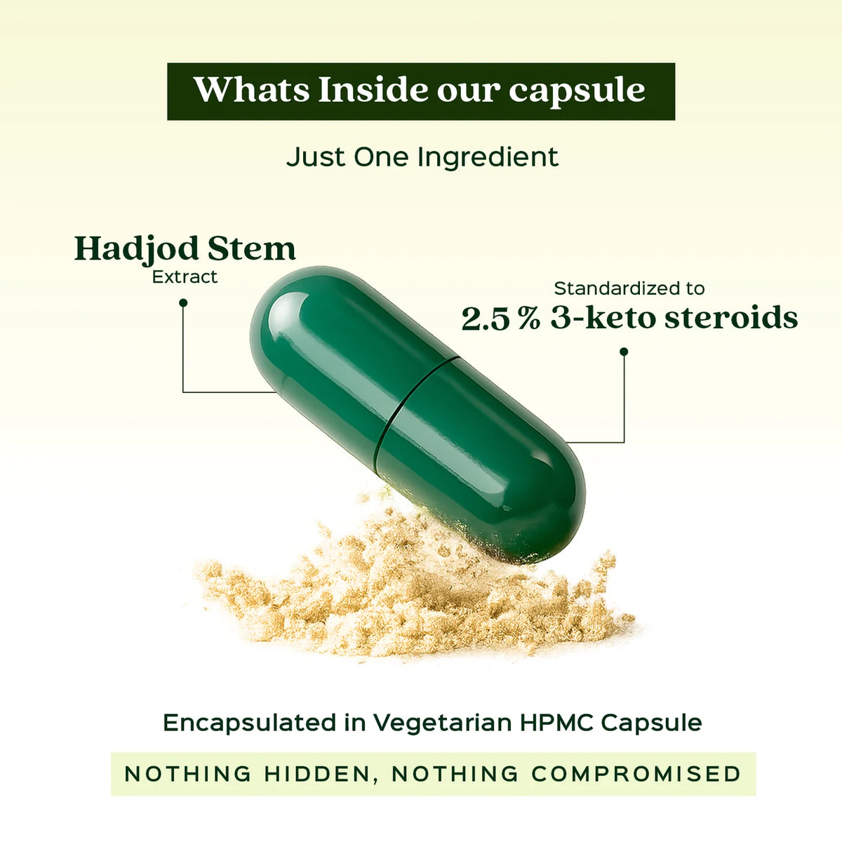 Bixa Botanical Cissus / Hadjod Extract (60 Veg Capsules | 450mg) | Standardized to 2.5% 3-Keto Steroids for Bone Healing, Joint Health & Collagen Support
