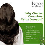 Kayee Ayurveda Neem Aloe Vera Shampoo for Men & Women | Herbal Hair Cleanser for Scalp Care | Neem & Aloe Vera Formula Helps Cleanse Dirt, Excess Oil & Impurities While Maintaining Soft, Fresh & Manageable Hair | 210 ml