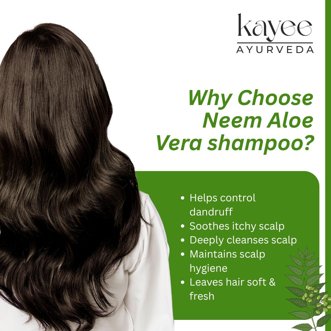 Kayee Ayurveda Neem Aloe Vera Shampoo for Men & Women | Herbal Hair Cleanser for Scalp Care | Neem & Aloe Vera Formula Helps Cleanse Dirt, Excess Oil & Impurities While Maintaining Soft, Fresh & Manageable Hair | 210 ml