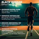Vitaminnica Black Ginger Capsules - Energy, Stamina & Recovery Support, 60 Count