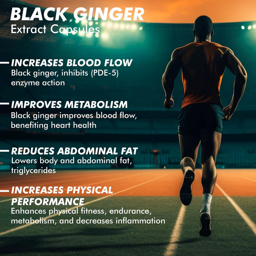 Vitaminnica Black Ginger Capsules - Energy, Stamina & Recovery Support, 60 Count