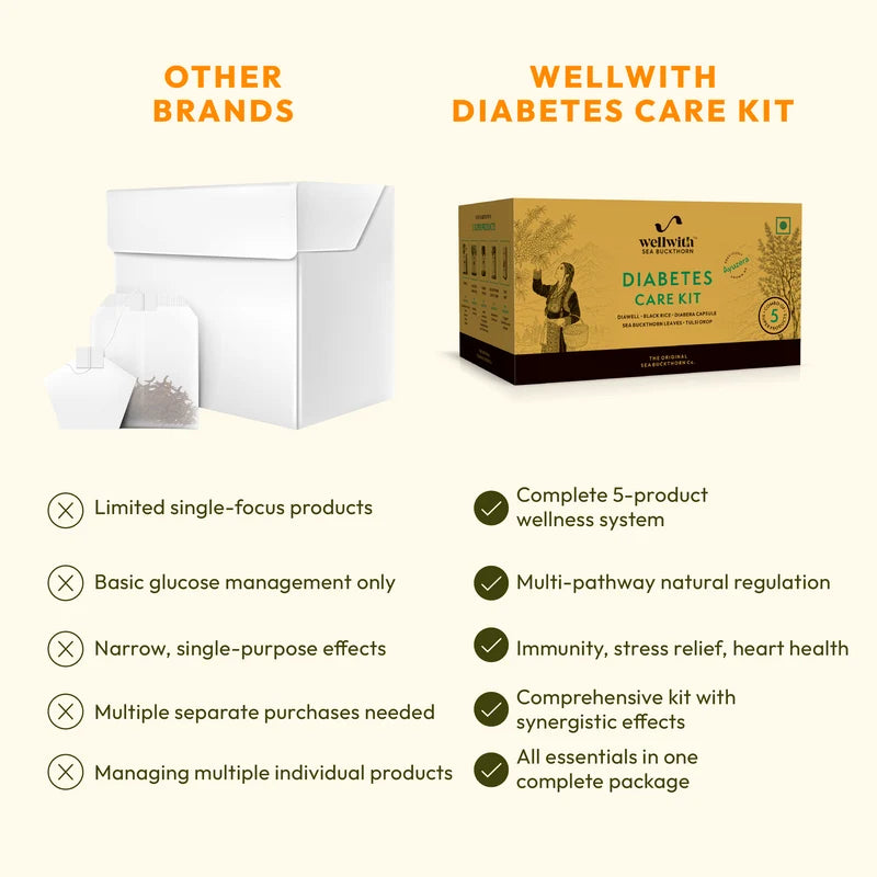 WellWith Diabetes Care Kit (3-in-1 Holistic Glucose & Metabolic Support)