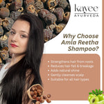 Kayee Ayurveda Amla Reetha Hair Shampoo for Strong & Healthy-Looking Hair | Herbal Shampoo for Scalp & Hair Care | Amla & Reetha Formula for Gentle Cleansing, Hair Conditioning, Softness & Healthy-Looking Shine | 210 ml