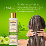 Kayee Ayurveda Amla Bhringraj Hair Conditioner for Men & Women | Herbal Conditioner for Dry, Rough & Frizzy Hair | Helps Condition Hair, Improve Manageability, Reduce Roughness & Maintain Healthy-Looking Shine | 210 ml