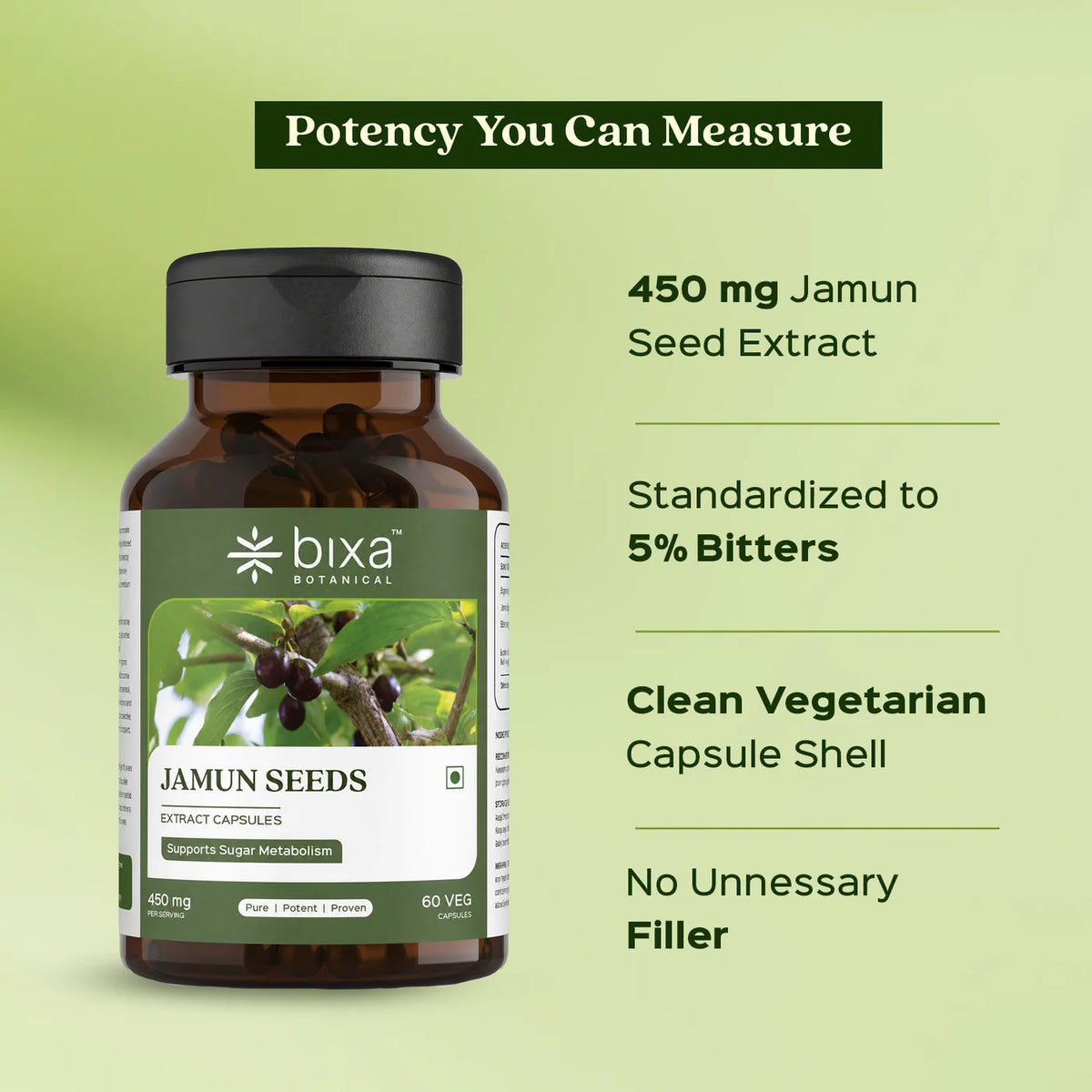 Bixa Botanical Jamun Extract (60 Veg Capsules | 450mg) | Standardized to 5% Bitters for Healthy Blood Sugar Control & Pancreatic Support