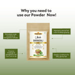 Khadi Bhringraj Powder for Hair & Scalp | 100% Natural Bhringraj Leaf Powder | Hair Fall, Hair Strength & Scalp Nourishing Care | Helps Improve Hair Texture & Shine | Herbal Hair Pack | For All Hair Types | 100 gm