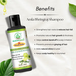 Bhudevam Naturals Khadi Amla Bhringraj Herbal Shampoo for Hair Fall Control & Strong Hair- 210ML
