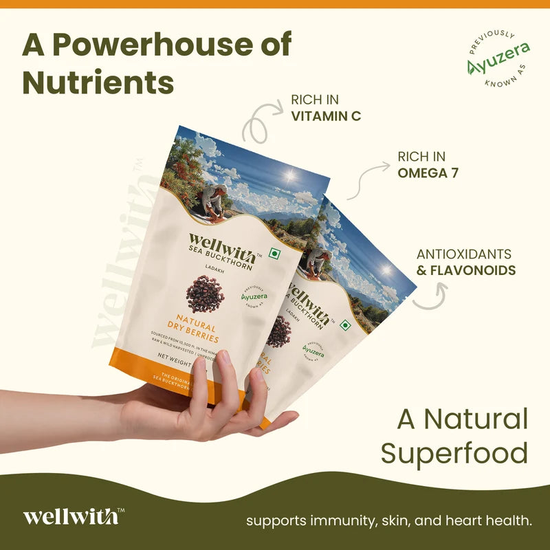 WellWith Sea Buckthorn Natural Dry Berries (100g)