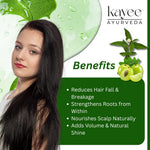 Kayee Ayurveda Amla Bhringraj Shampoo for Hair Growth & Hair Fall Care | Herbal Ayurvedic Shampoo with Amla & Bhringraj for Scalp Cleansing, Hair Nourishment, Strength, Smoothness & Natural Shine | 210 ml