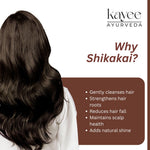 Kayee Ayurveda Shikakai Shampoo for Hair Growth & Hair Care | Herbal Ayurvedic Shampoo with Shikakai for Scalp Cleansing, Hair Nourishment, Strength, Smoothness, Softness & Natural-Looking Shine | 210 ml
