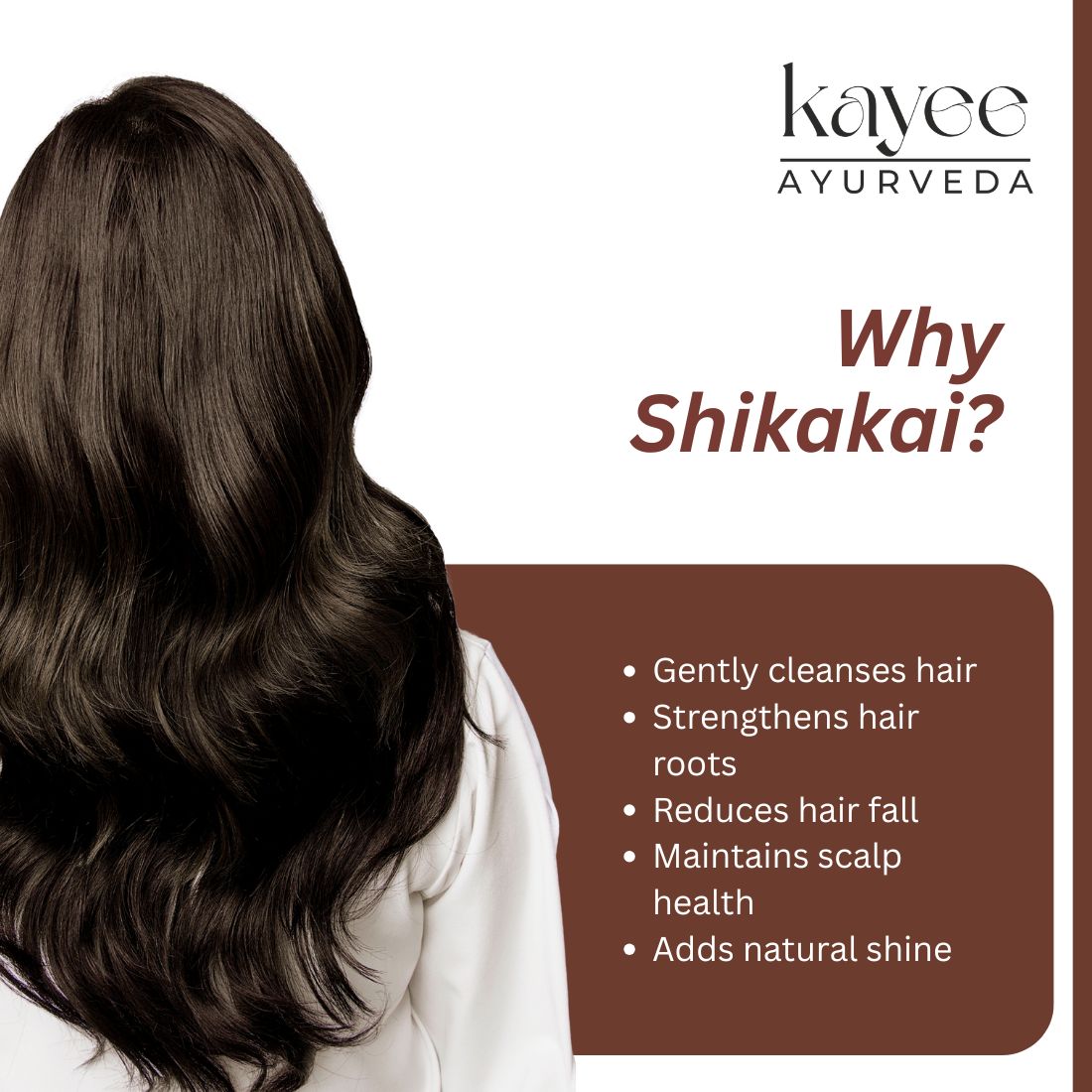 Kayee Ayurveda Shikakai Shampoo for Hair Growth & Hair Care | Herbal Ayurvedic Shampoo with Shikakai for Scalp Cleansing, Hair Nourishment, Strength, Smoothness, Softness & Natural-Looking Shine | 210 ml