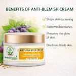 Bhudevam Natuals Khadi Anti Blemish Cream for Dark Spot Removal & Skin Brightening Moisturizer for Clear Skin- 50GM