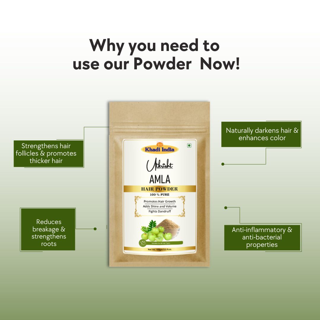 Khadi Amla Powder for Hair & Scalp | 100% Natural Indian Gooseberry Powder | Hair Fall, Hair Strength & Scalp Care | Helps Improve Hair Texture & Shine | Natural Hair Pack | For All Hair Types | 100 gm