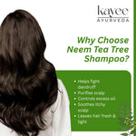 Kayee Ayurveda Neem & Tea Tree Herbal Shampoo | Scalp Care Shampoo for Oily, Dull & Flaky-Looking Scalp | Herbal Hair Cleanser for Freshness, Cleansing, Hair Conditioning & Healthy-Looking Shine | 210 ml