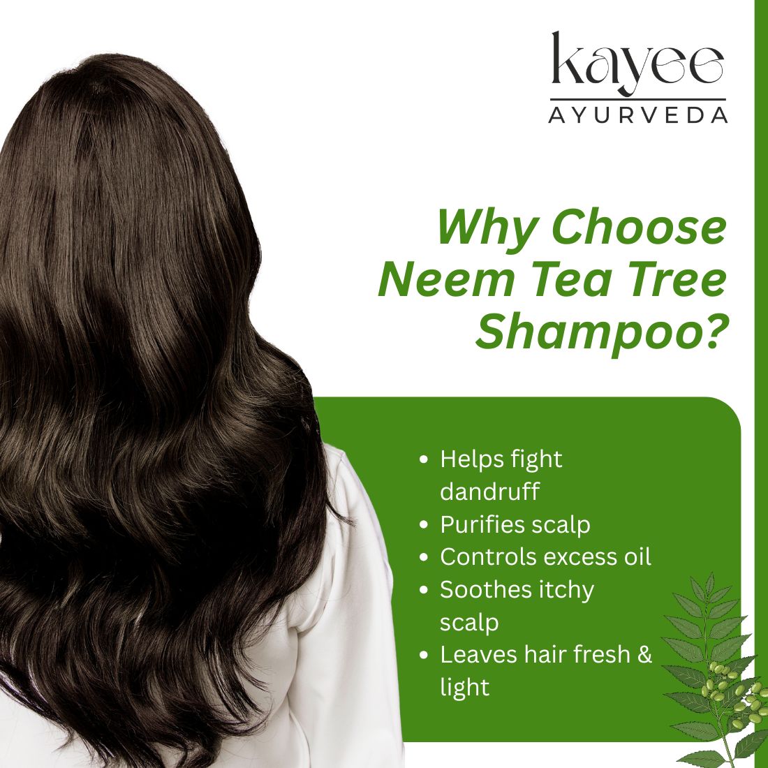 Kayee Ayurveda Neem & Tea Tree Herbal Shampoo | Scalp Care Shampoo for Oily, Dull & Flaky-Looking Scalp | Herbal Hair Cleanser for Freshness, Cleansing, Hair Conditioning & Healthy-Looking Shine | 210 ml