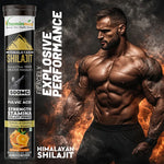 Vitaminnica Himalayan Shilajit Effervescent Tablets - Energy, Strength & Stamina, 20 Count