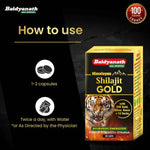 Baidyanath Himalayan Shilajit Gold - 20 Capsules