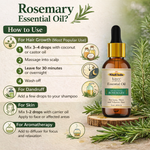 Kayee Ayurveda Rosemary Essential Oil for Hair Care, Aromatherapy, Diffuser & Massage | Refreshing Rosemary Aroma Oil for Scalp & Hair Care, Meditation, Yoga, Spa & Home Fragrance | Multi-Purpose Essential Oil | 15 ml
