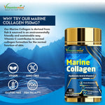 Vitaminnica Marine Collagen Capsules - Hydrolyzed Peptides for Skin, Hair & Joints, 60 Count