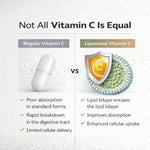 Pure Nutrition Liposomal Vitamin C 80mg (70%), 60 Capsules | Antioxidant & Immune Support