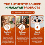 Divya Himalayan Vitamin B12 Capsule - 60 Capsules (Pack of 2)