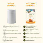 WellWith Sea Buckthorn Gummies With Natural Sugar (FOS) (30 Gummies)