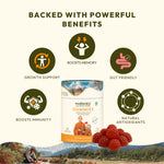 WellWith Sea Buckthorn Gummies With Natural Sugar (FOS) (30 Gummies)